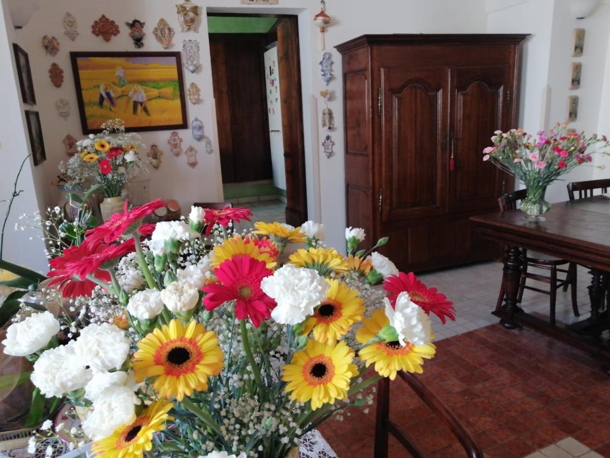 Bed and Breakfast Anticadimora Dei Pepe Salve Exterior foto